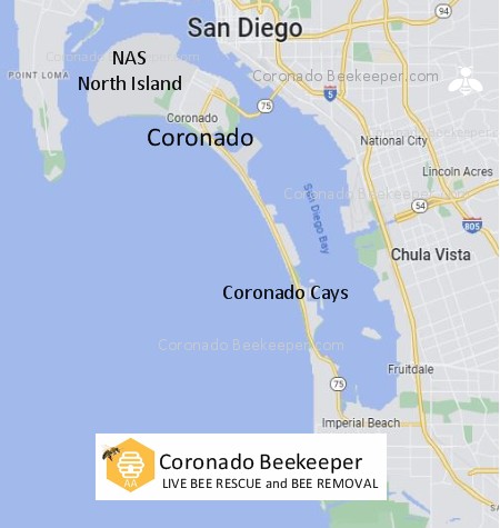 Coronado Beekeeper - Service Map